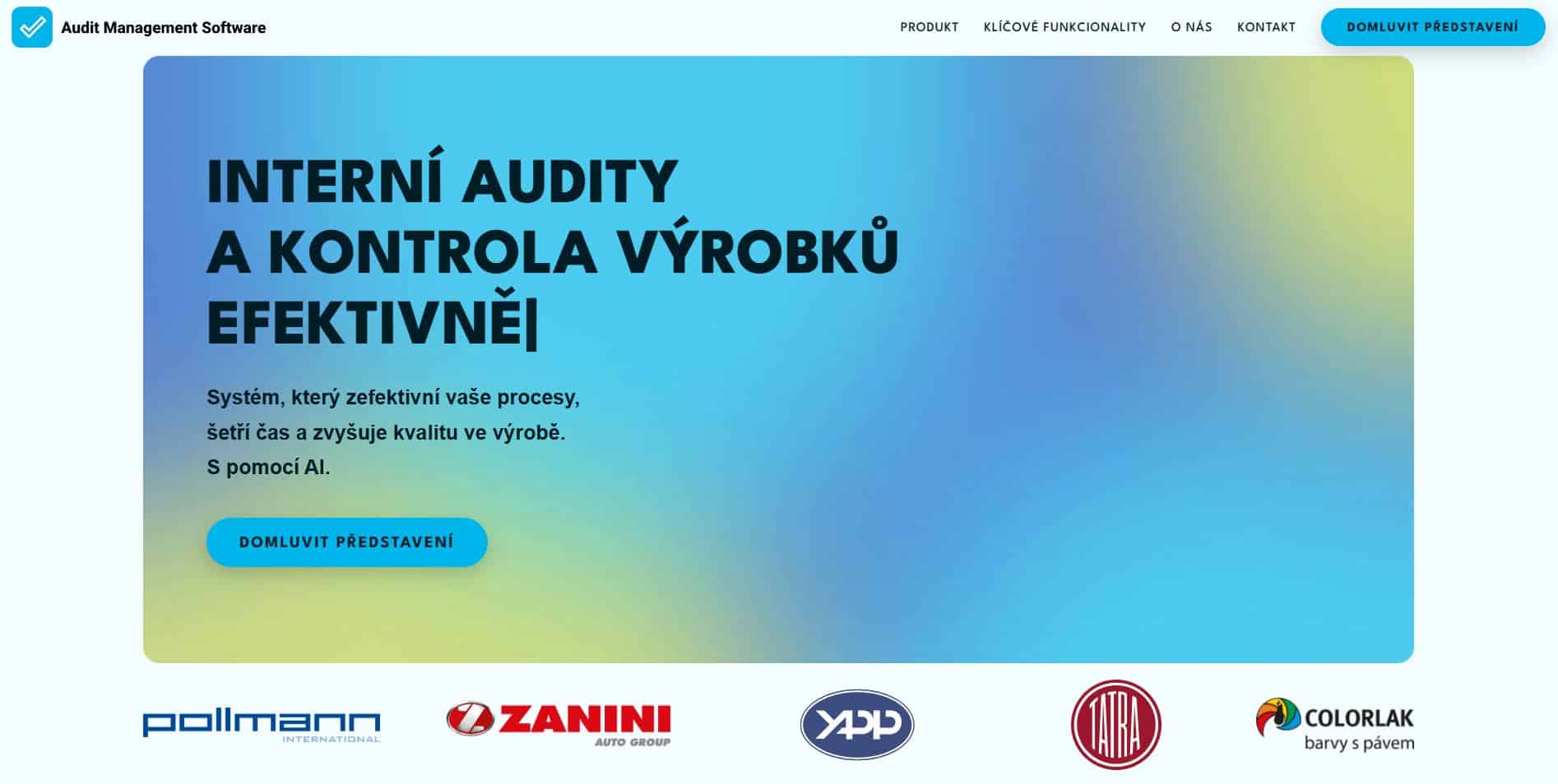 Screenshot of the Audit Management Software website.